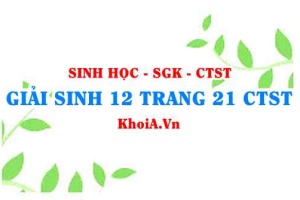Giải Sinh 12 trang 21 Chân trời Sáng tạo
